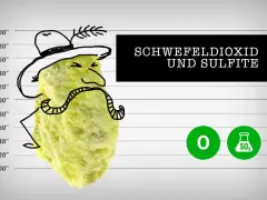 Gelber Schwefelklumpen mit Hut und Schnurrbart vor einer Messlatte. Text: "Schwefeldioxid und Sulfite". Wo sind Sulfite enthalten?