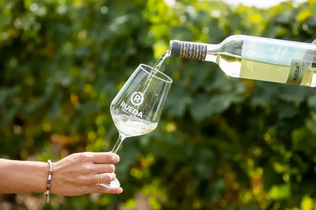 Ein Glas wird mit einem frischen Verdejo Wein aus einer Flasche gef&uuml;llt, umgeben von gr&uuml;nen Weinreben.
