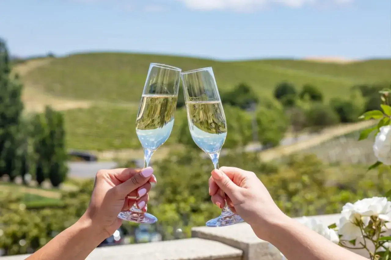 Zwei Gläser Champagner stoßen an, mit Blick auf Weinberge, die zeigen, woher Champagner kommt.